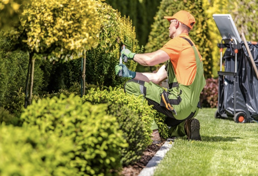 landscaping company